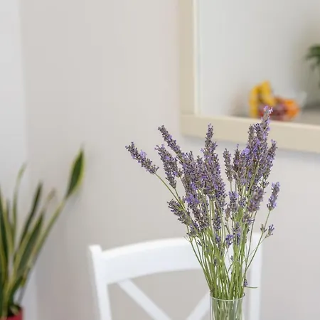 Petric Apartment