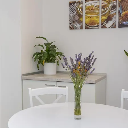 Petric Apartment Hvar Town